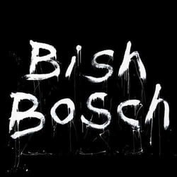 Bish bosch - Vinyle