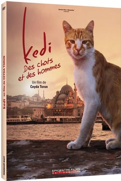 Kedi - Des chats et des hommes