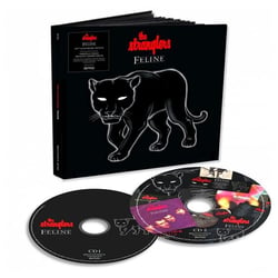 Feline