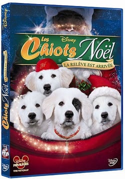 Les Chiots Noël, la relève est arrivée