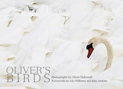 Oliver's birds