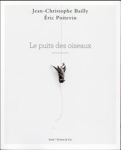 Le puits des oiseaux - nature morte
