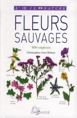 Fleurs sauvages - nouvelle présentation