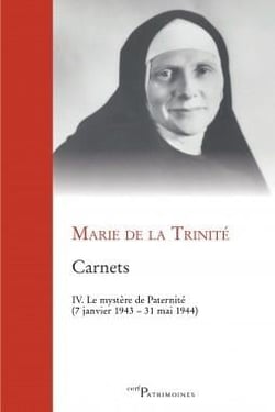 Carnets, IV. Le mystère de Paternité