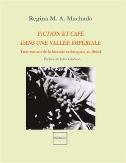 Fiction et café dans une vallée impériale - trois romans de la fazenda esclavagiste au Brésil