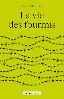 LA VIE DES FOURMIS
