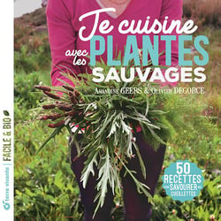 Je cuisine les plantes sauvages : 50 recettes pour savourer mes cueillettes