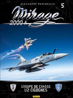 Mirage 2000-5 - groupe de chasse - 1/2 Cigognes - des cigognes au combat