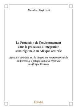 La protection de l'environnement dans le processus d'integration sous-regionale en afrique centrale