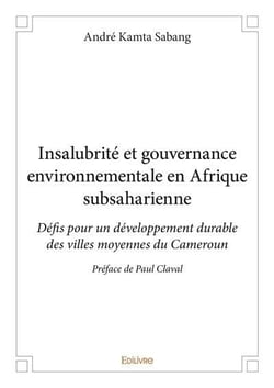 Insalubrite et gouvernance environnementale en afrique subsaharienne - defis pour un developpement d