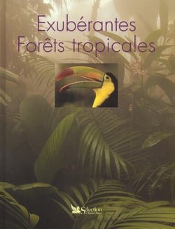Exuberantes forets tropicales
