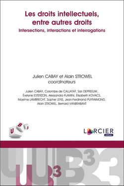 Les droits intellectuels, entre autres droits: intersections, interactions et interrogations