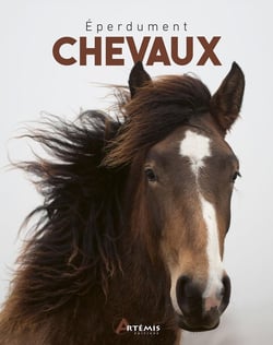 Éperdument chevaux