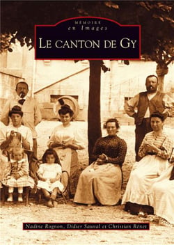 Le canton de Gy