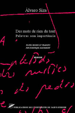 Des mots de rien du tout