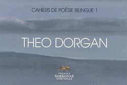 Theo Dorgan