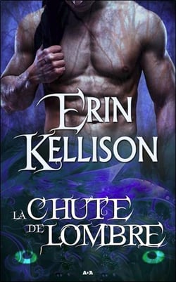 L'ombre Tome 2 - la chute de l'ombre