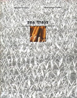 Zea mays