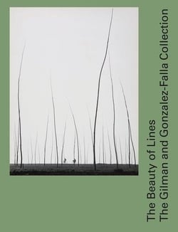 The beauty of lines - the gilman and gonzalez-falla collection