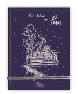 Une histoire avec paris - parc monceau argent
