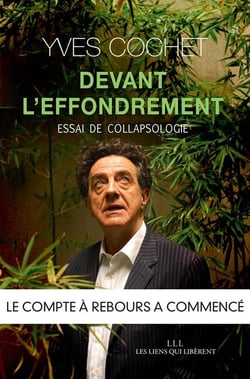 Devant l'effondrement - essai de collapsologie