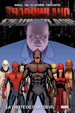 Shadowland - la chute de Daredevil