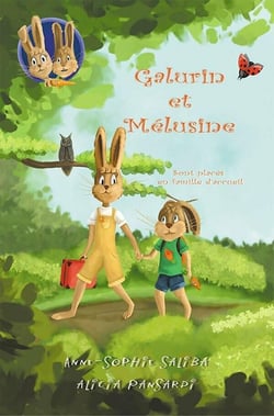 Galurin et Mélusine Tome 1 : Galurin et Mélusine sont placés en famille d'accueil