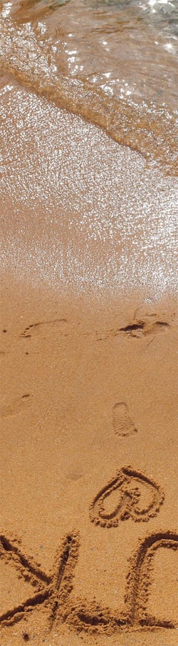 MQPG016 - MIRISSA