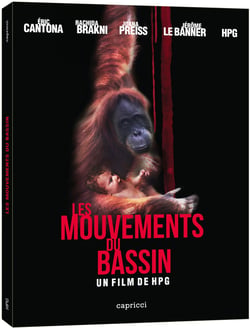 Les Mouvements du bassin