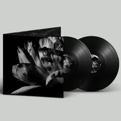 Là où passe la nuit - édition gatefold