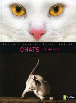 Chats du monde