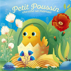 PTITS LIVRES A TROUS POUSSIN