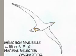 Natural selection : sélection naturelle