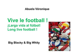 Blacky & whity family t.8 : vive le football !