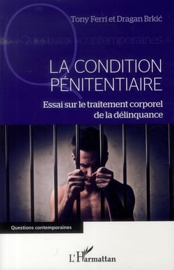 La condition pénitentiaire - essai sur le traitement corporel de la délinquance