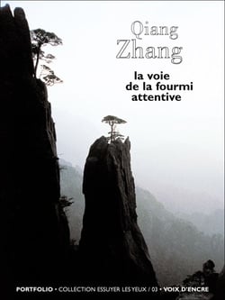 La voie de la fourmi attentive