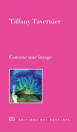 COMME UNE IMAGE