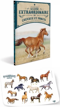 Le livre extraordinaire des chevaux