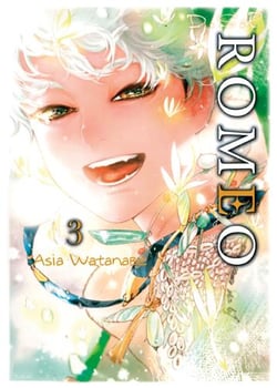 D.S.P. Romeo Tome 3