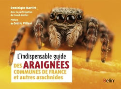 L'indispensable guide des araignées de France et autres arachnides