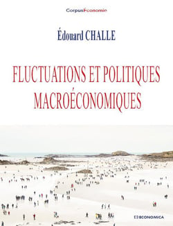 FLUCTUATIONS ET POLITIQUES MACROECONOMIQUES