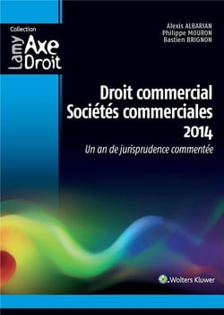 Droit Commercial, Sociétés Commerciales 2014 - Un An De Jurisprudence Commentée (4E Édition)