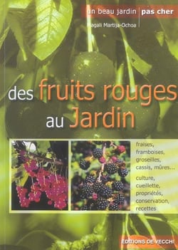 Des fruits rouges au jardin