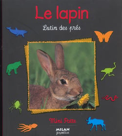 Le lapin -  lutin des pres