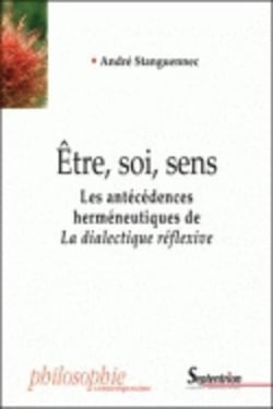 Etre, soi, sens - les antecedences hermeneutiques de la dialectique reflexive