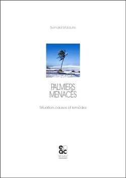 Palmiers menacés : situation, causes et remèdes