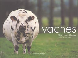 Vaches