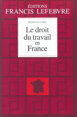 Le droit du travail en france - edition 2001-2002