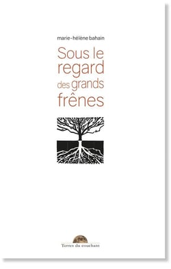 Sous le regard des grands frênes