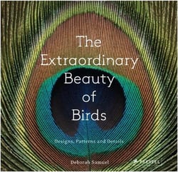 Deborah samuel the extraordinary beauty of birds: designs, patterns and details